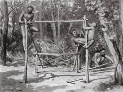 The Dawn of Life, Building a Home by Horace van Ruith
