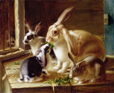 Long-Eared Rabbits in a Cage, Watched by a Cat by Horatio Henry Couldery