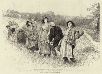 Tess of The D