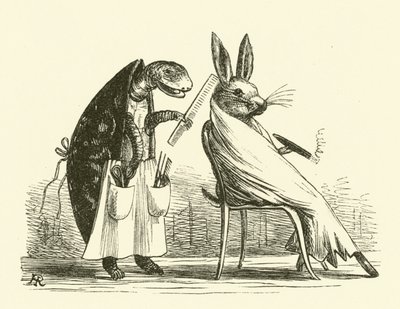Tortoise and Hare by Hugh Rowley