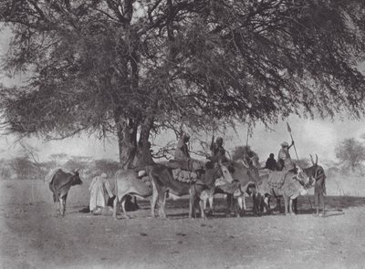 Africa: Caravan of ox-riders on the White Nile by Hugo Adolf Bernatzik