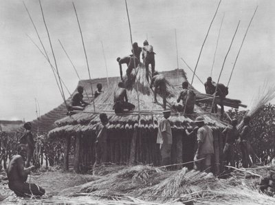 Africa: Erection of Rest-House Near Amadi by Hugo Adolf Bernatzik