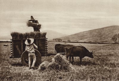 Mexico: Farmers Harvesting Wheat by Hugo Brehme