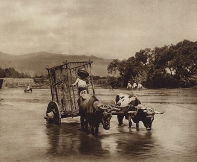 Mexico: Ox Cart with Disc-shaped Wheels by Hugo Brehme