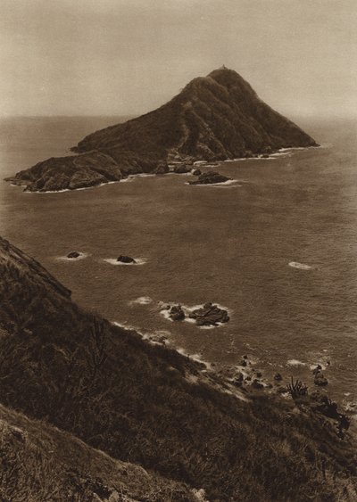 Mexico: Mazatlan Coast by Hugo Brehme