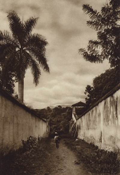 Mexico: Cuernavaca, Street leading to the village of San Antonio by Hugo Brehme
