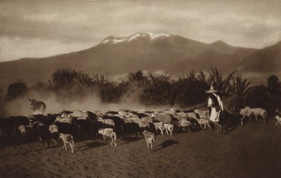 Mexico: The surroundings of Amecameca by Hugo Brehme