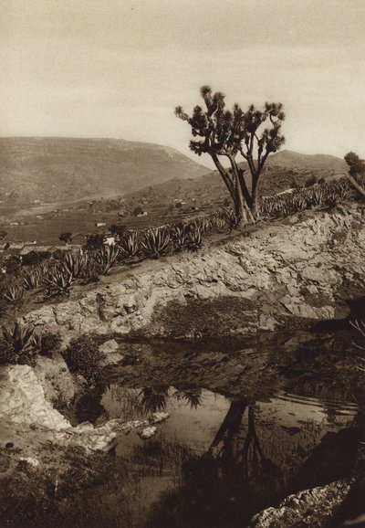 Mexico: Surroundings of Toluca by Hugo Brehme