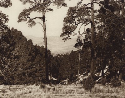 Mexico: Wild Panorama at the Foot of Pico de Orizaba by Hugo Brehme