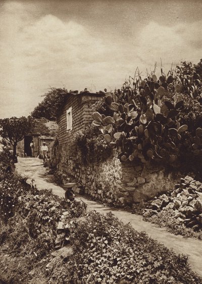 Mexico: Picturesque Corner in San Angel D.F. by Hugo Brehme