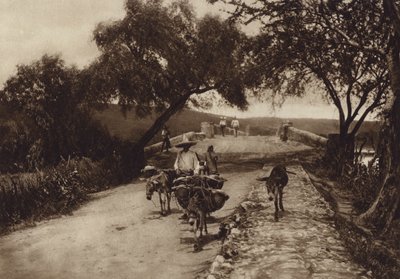 Mexico: A road in the Mountains of Mexico by Hugo Brehme