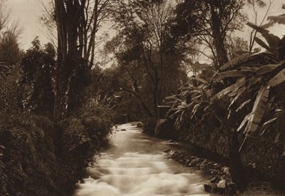 Mexico: Uruapam by Hugo Brehme