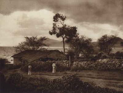Mexico: View by Lake Chapala by Hugo Brehme
