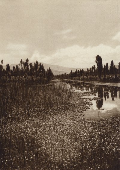 Mexico: Xochimilco, One of the Main Canals by Hugo Brehme