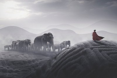 Red Cape Elephant Journey by Hussain Buhligaha