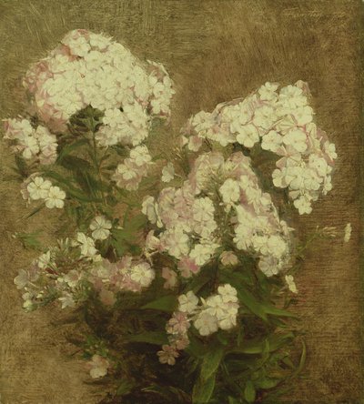 Phlox by Ignace Henri Jean Fantin Latour