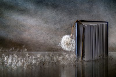 Dandelion Book Reflection by Igor Kopcev