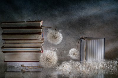 Dreamy Books and Dandelions by Igor Kopcev