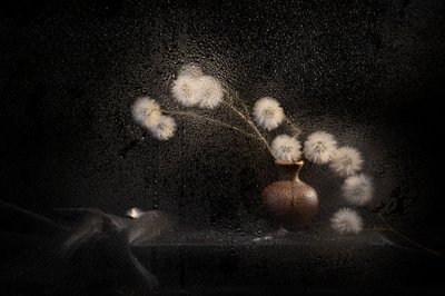 Moody Dandelion Still Life by Igor Kopcev