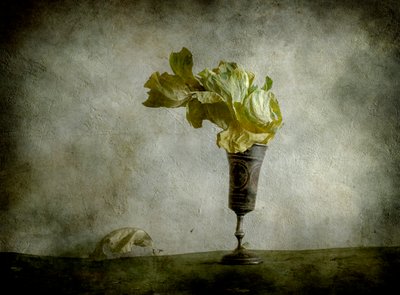 Withered Lettuce Goblet by Igor Tokarev
