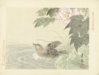 Bathing Bird by Pink Flower (Bloemen- en vogelschetsen van Keinen) by Imao Keinen