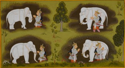 Anshuman meets four elephants, who reassure him about his quest