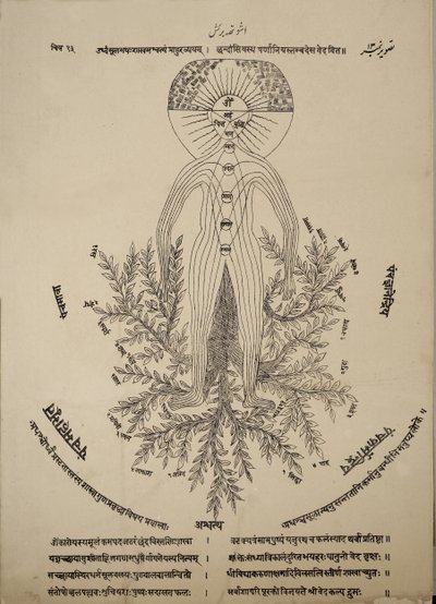 Diagram showing meridian points on the human body by Indian School