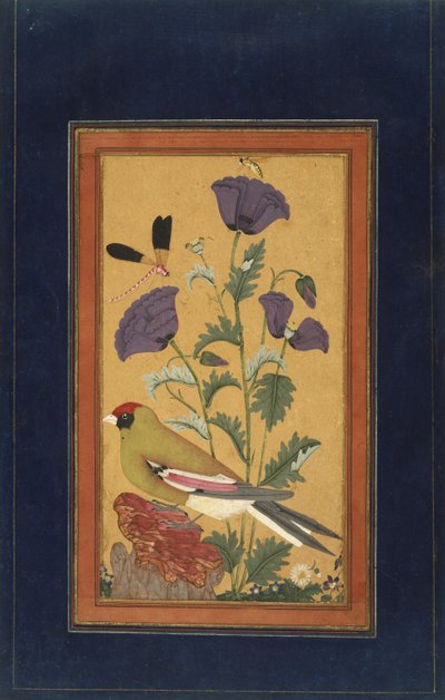 Finch, Poppies, Dragonfly, and Bee by Indian School