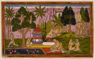 Hanuman Reports Sita