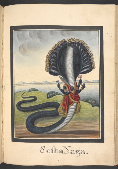 Sesha, the serpent on which Vishnu lies by Indian School