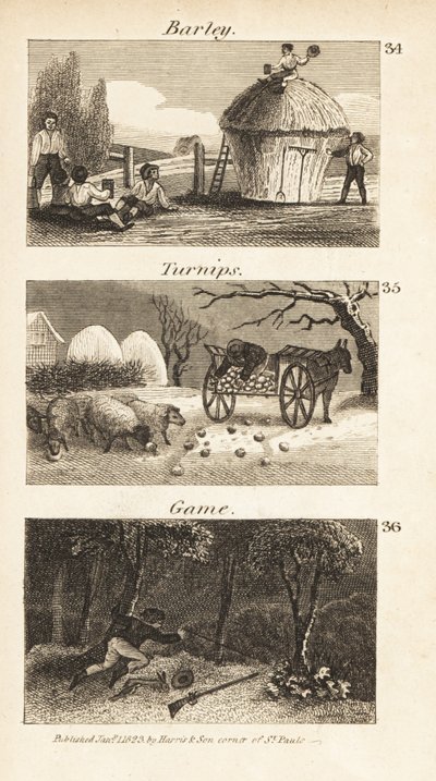 Trades in Norfolk, Regency England by Isaac Taylor