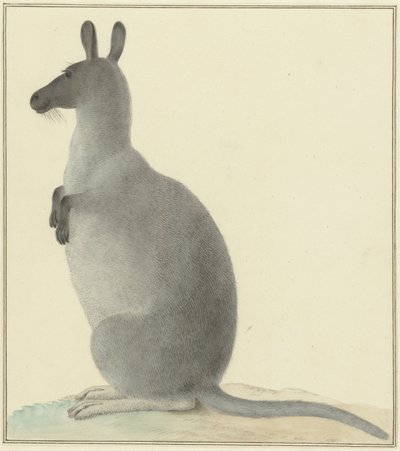 Kangaroo by Isaac van Haastert