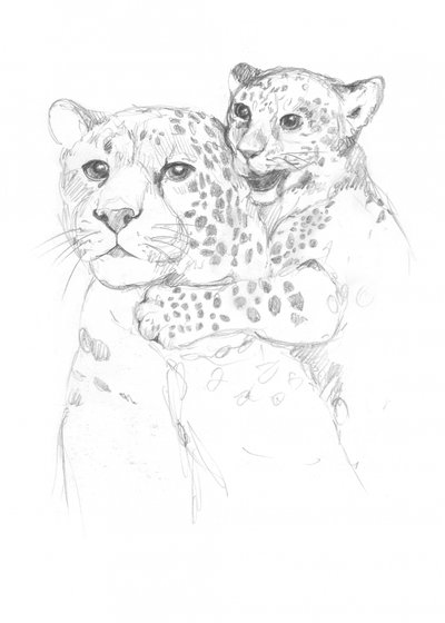 Leopards by Isabelle Brent