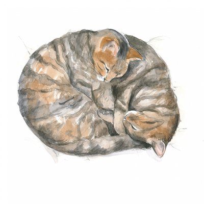 Round Cats by Isabelle Brent