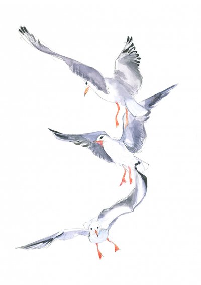 Seagull Flight by Isabelle Brent