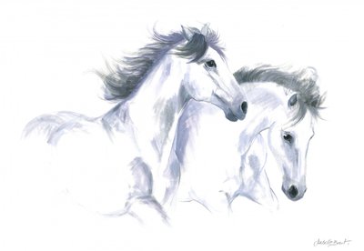 Two Horses by Isabelle Brent