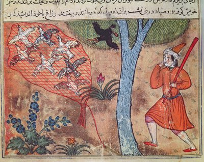 Hunting Birds, from 