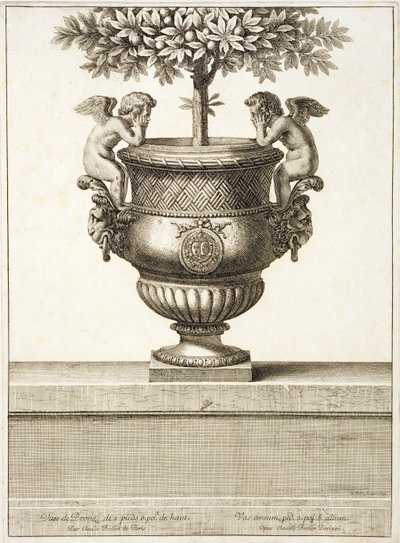 Bronze urns as used for citrus trees, illustration from 