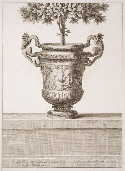 Bronze urns as used for citrus trees, illustration from 