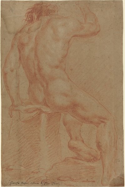 Nude Male Figure (recto) by Italian 17th Century