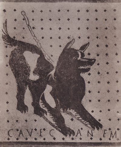 Mosaic, Cave Canem by Italian Photographer