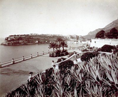 Panorama of Montecarlo. In the Foreground, Dense Vegetation of Agave Plants and Cactus by Italian Photographer