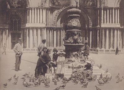 Piccioni by Italian Photographer