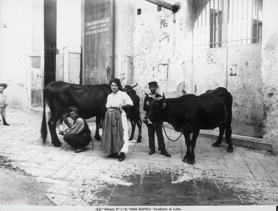 A Milk Seller, from Life in Naples by Italian Photographer Italian Photographer
