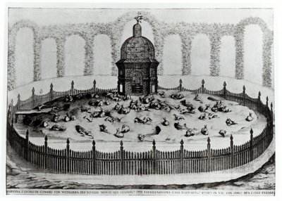 A Rabbitry with an Aviary for small birds, from Le Fabbriche e i Giardini dellEcc. Casa Barbariga, by D. Rossetti, engraved by G. Campana, published 1702 by Italian School