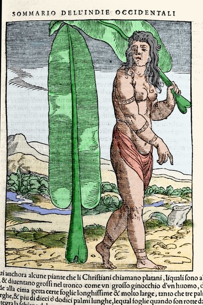 A West Indian native standing by a tobacco leaf. Engraving from the book 