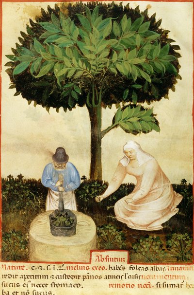 Absinthe, from a Manuscript on 