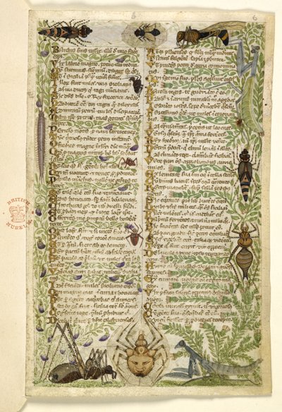 Leaves from a prose treatise on the Seven Vices and a verse on events from the history of Sicily in the time of Frederick II, by Cocharelli, c.1330-40 by Italian School