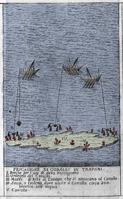 Coral fishing in the Gulf of Trapani in Sicily, a representation of small underwater islands where coral barrels are formed. Engraving from 