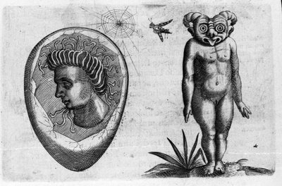 Different types of human monsters: a fossil man and a monster. Engraving from 
